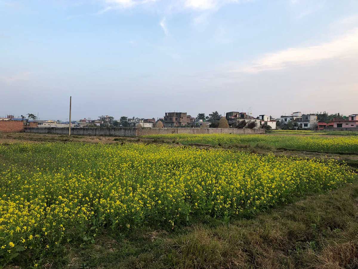 Biratnagar