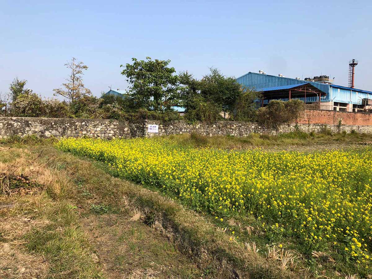 Biratnagar