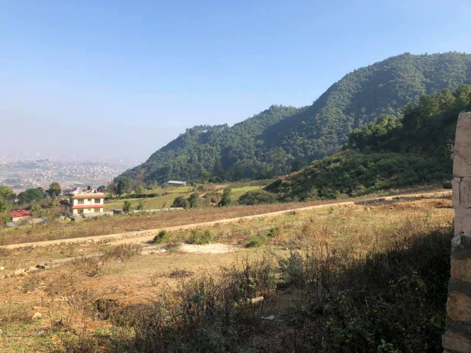 Dhaksi