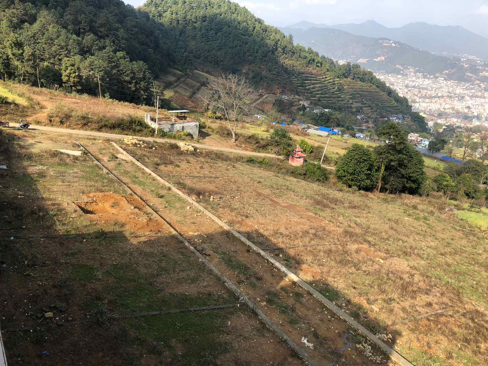 Dhaksi