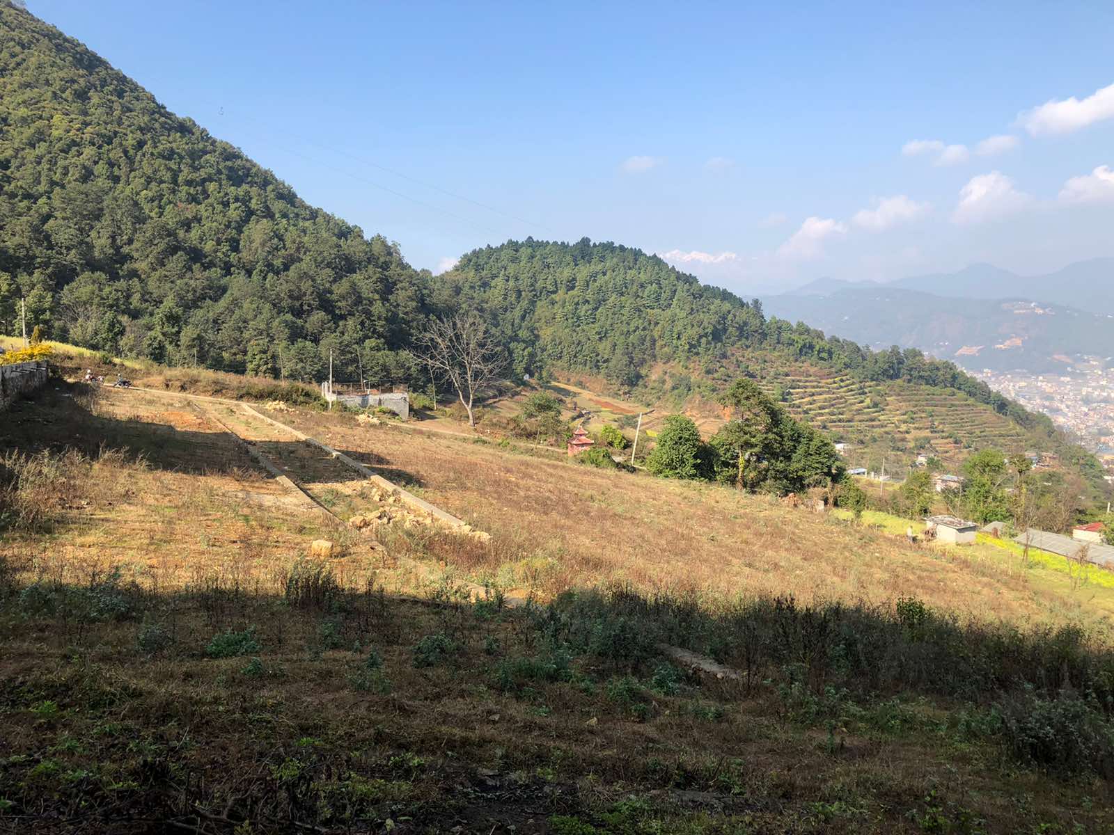 Dhaksi