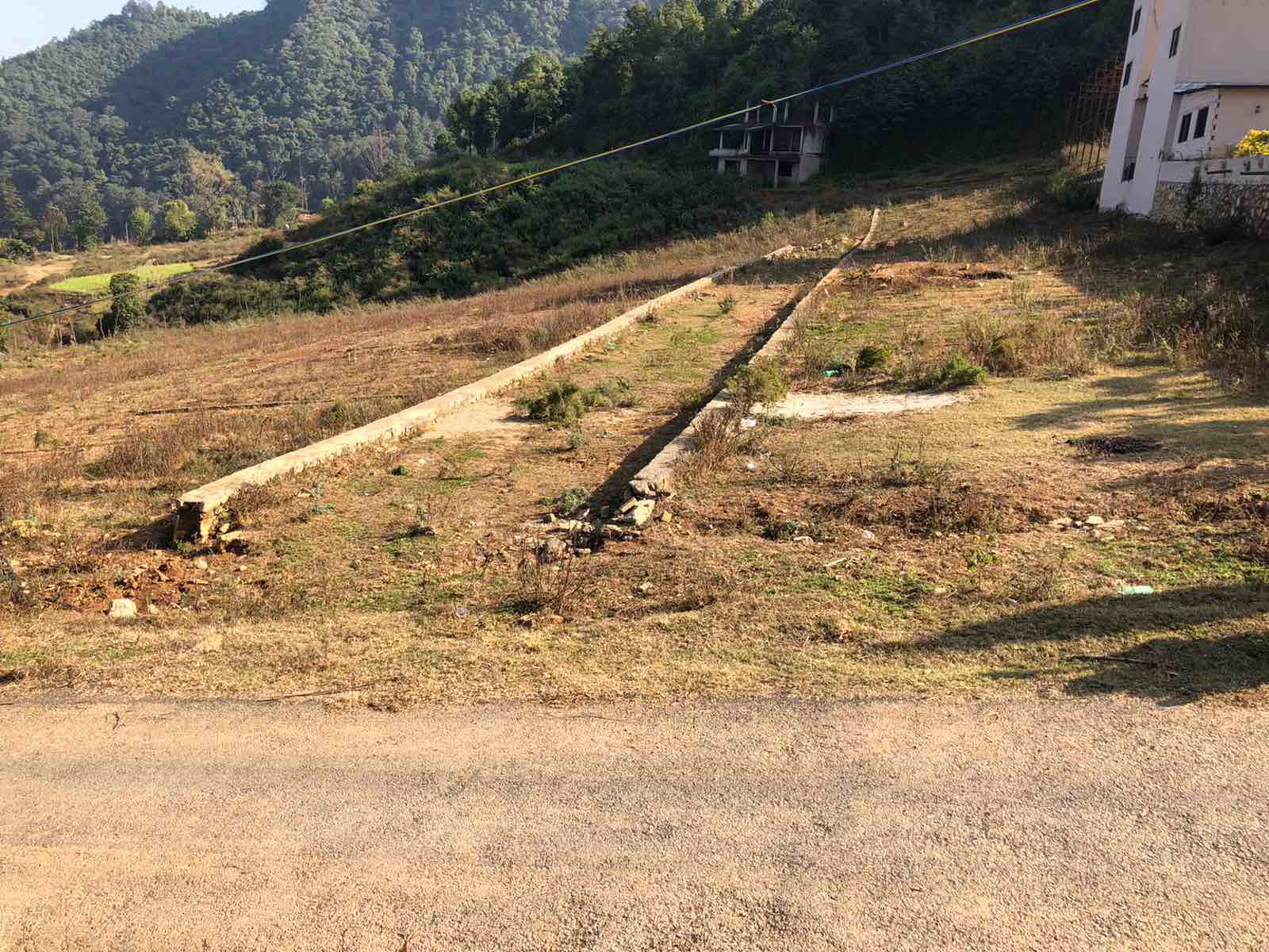 Dhaksi