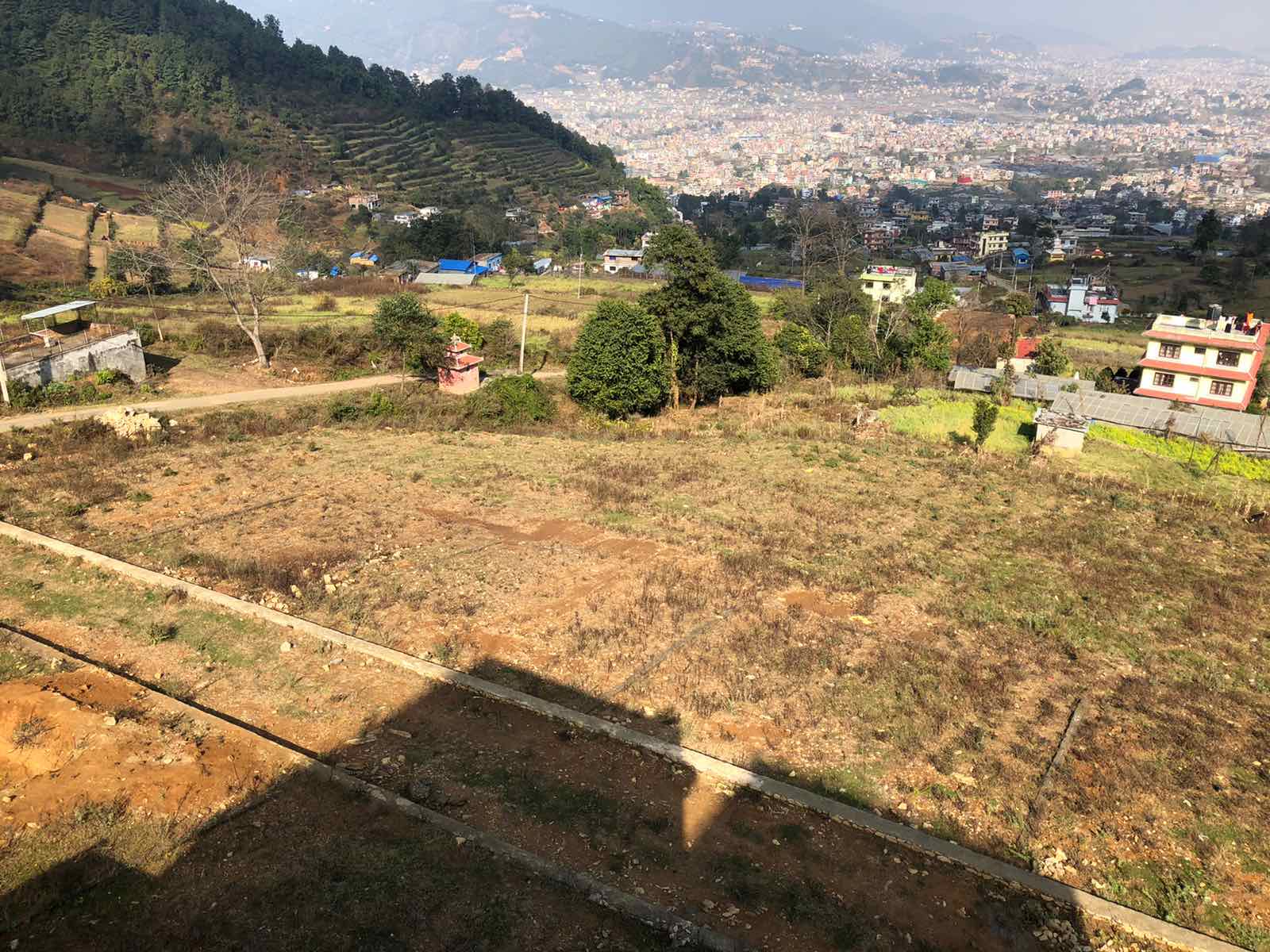 Dhaksi