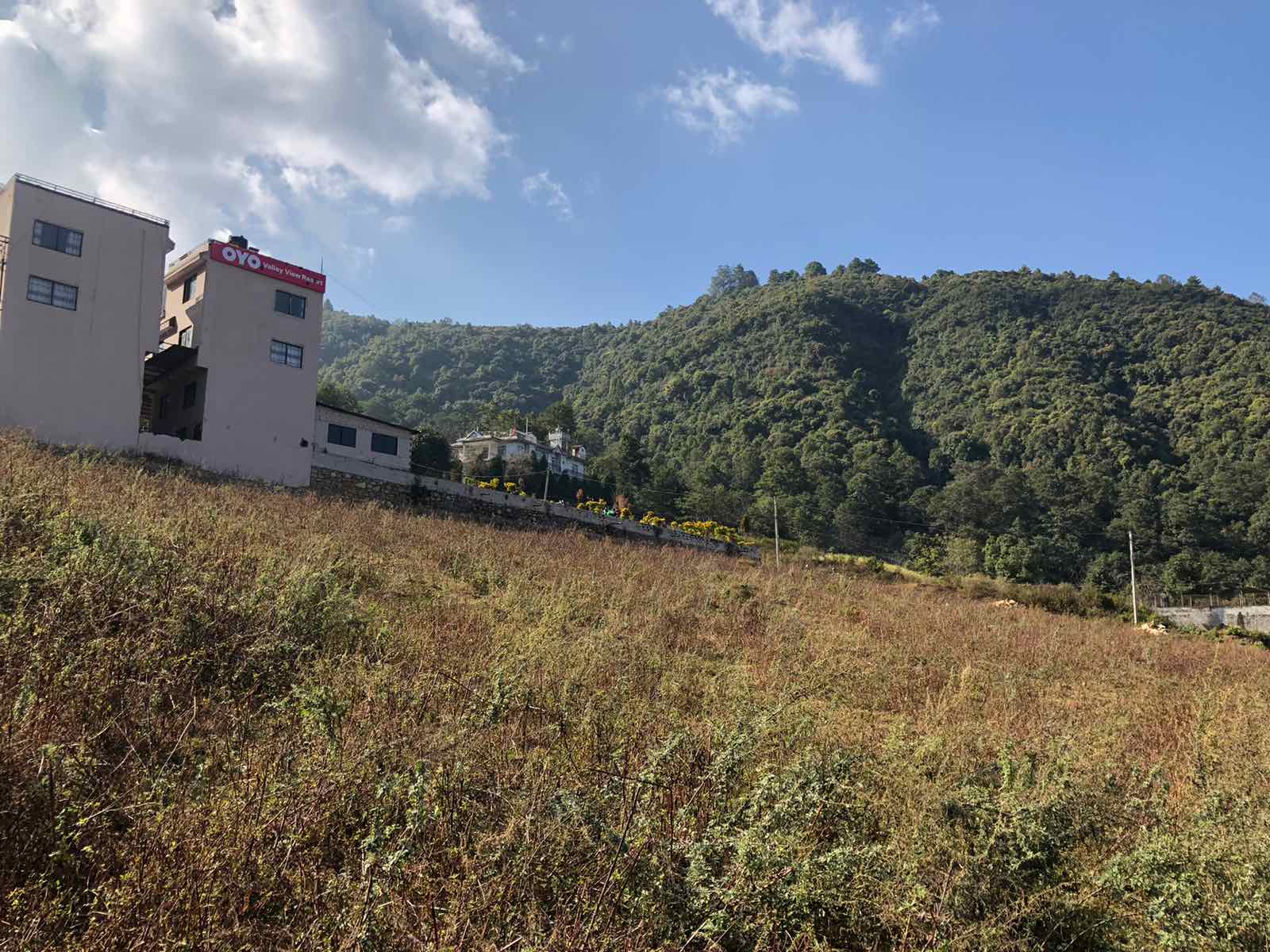 Dhaksi